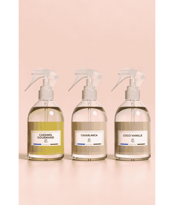 Lot 3 spray intérieur - RP