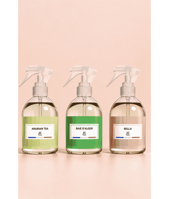 Lot 3 spray intérieur - RP