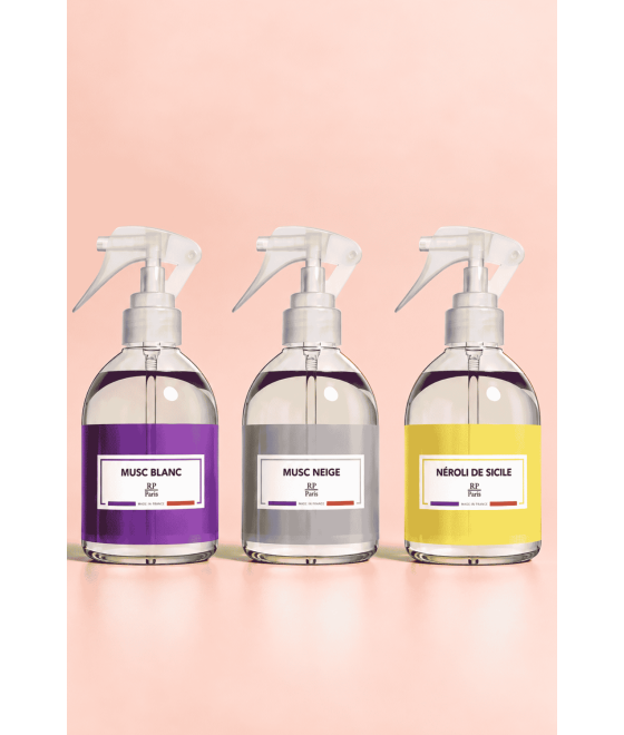 Lot 3 spray intérieur - RP