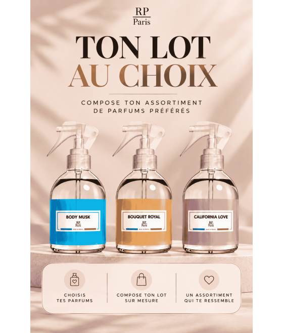 Lot 3 spray intérieur - RP
